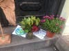 For the last six weeks, notes and flowers have been left on a stoop near the side of an old drug store, where Robert Helmeck, a homeless resident of Hoboken, often sat.