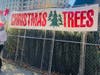 Christmas trees are for sale on Willow Avenue in Hoboken. See below for other places to buy.