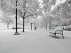 The schools made an announcement due to a winter storm in the forecast.