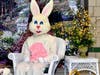 Parents can sign up using the link here for reservations to visit the Easter Bunny in Newport Centre Mall in Jersey City. The mall is especially popular for its 3.5 percent sales tax.