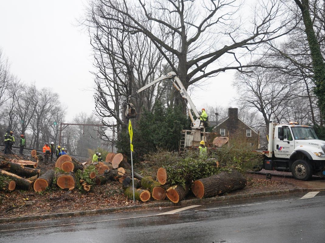 Monday's stormy weather caused a tree to fall on the tracks and damage other equipment, NJ Transit said.