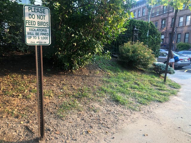 Oh, Rats: After Hoboken Residents' Pleas, City Places Rodent Baits ...