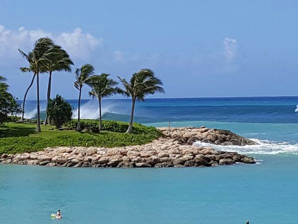 The taste of Hawaii will come to Hoboken next year, thanks to Pokemoto.