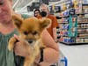 Michelle and her dog at Walmart.