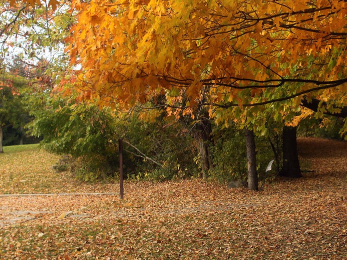 While Essex County College’s West Essex campus undergoes construction, students can enjoy night school classes in a nearby facility.