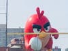 The Hoboken Angrybird Emergency -- the bird, finally soaring at full height.