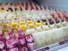 Morelia Gourmet Paletas are coming Hoboken's way.