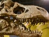 The dinosaur event is only one of the free events scheduled in Bergen County before summer ends.