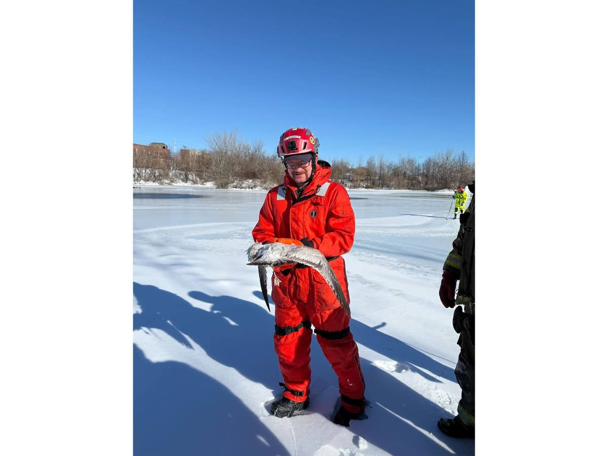 Kurt Warner and a fine feathered friend.