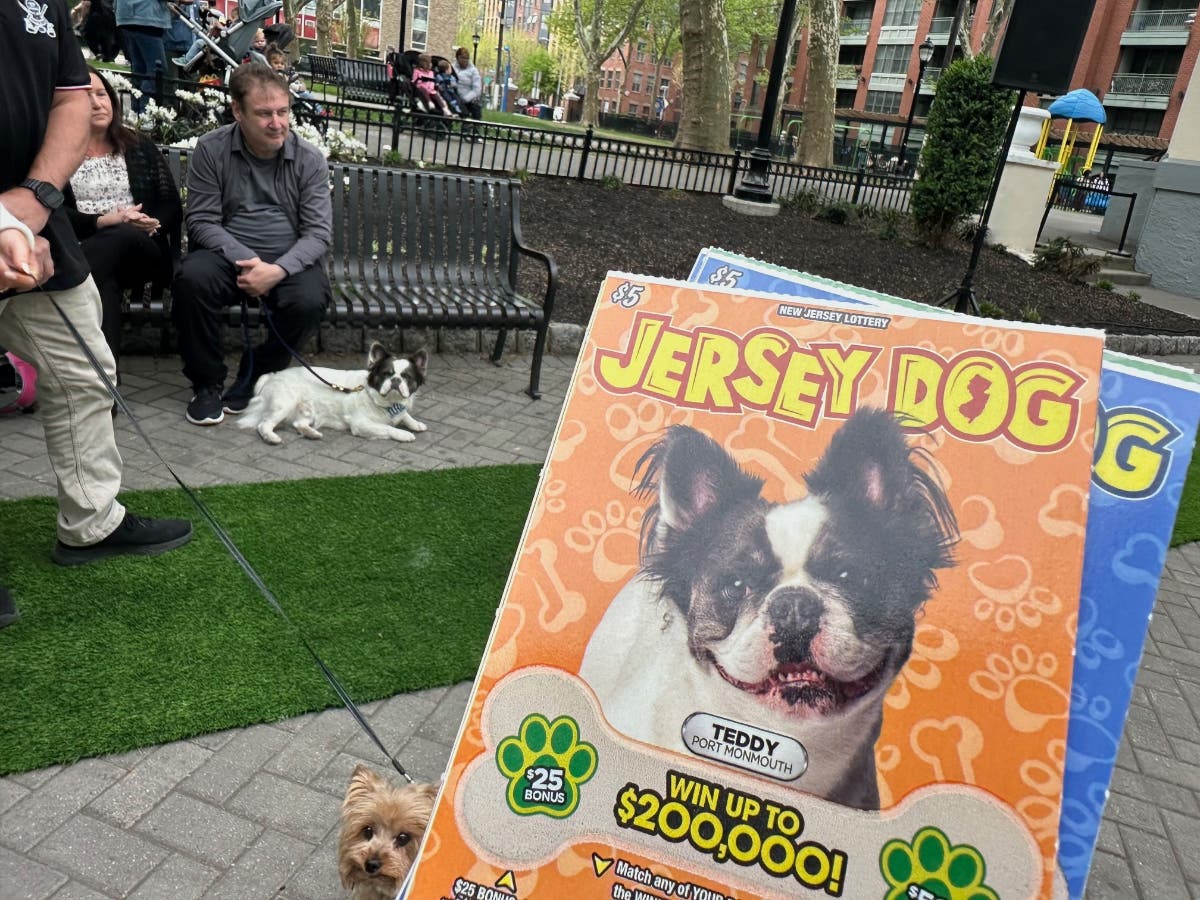 Teddy from Port Monmouth enjoys a Hoboken park as someone holds a card with his image.