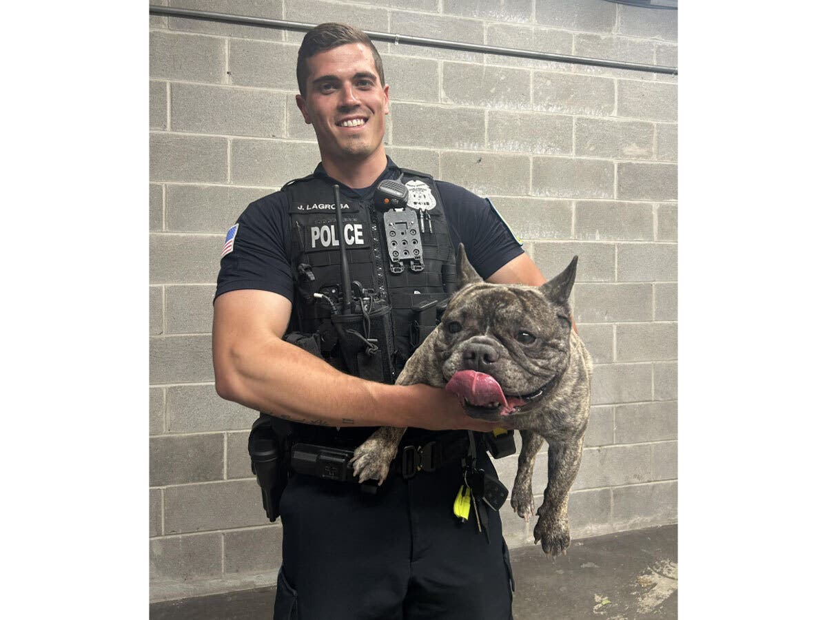 Police, dog.