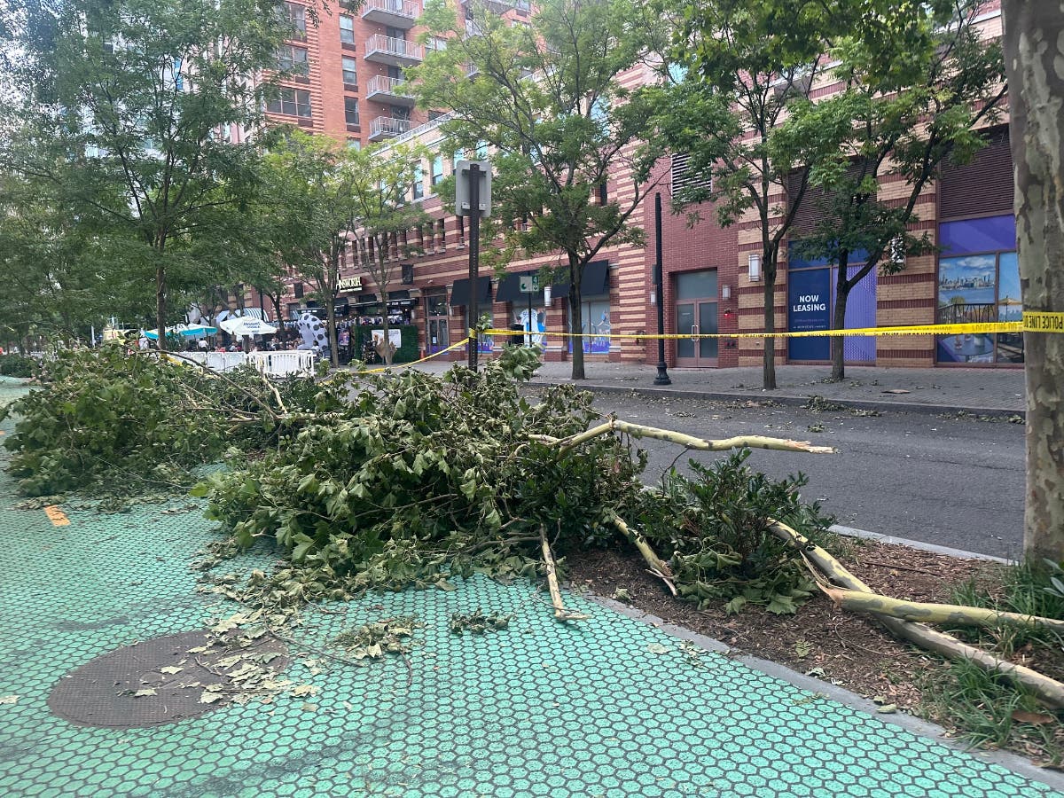 Storm aftermath in North Jersey.