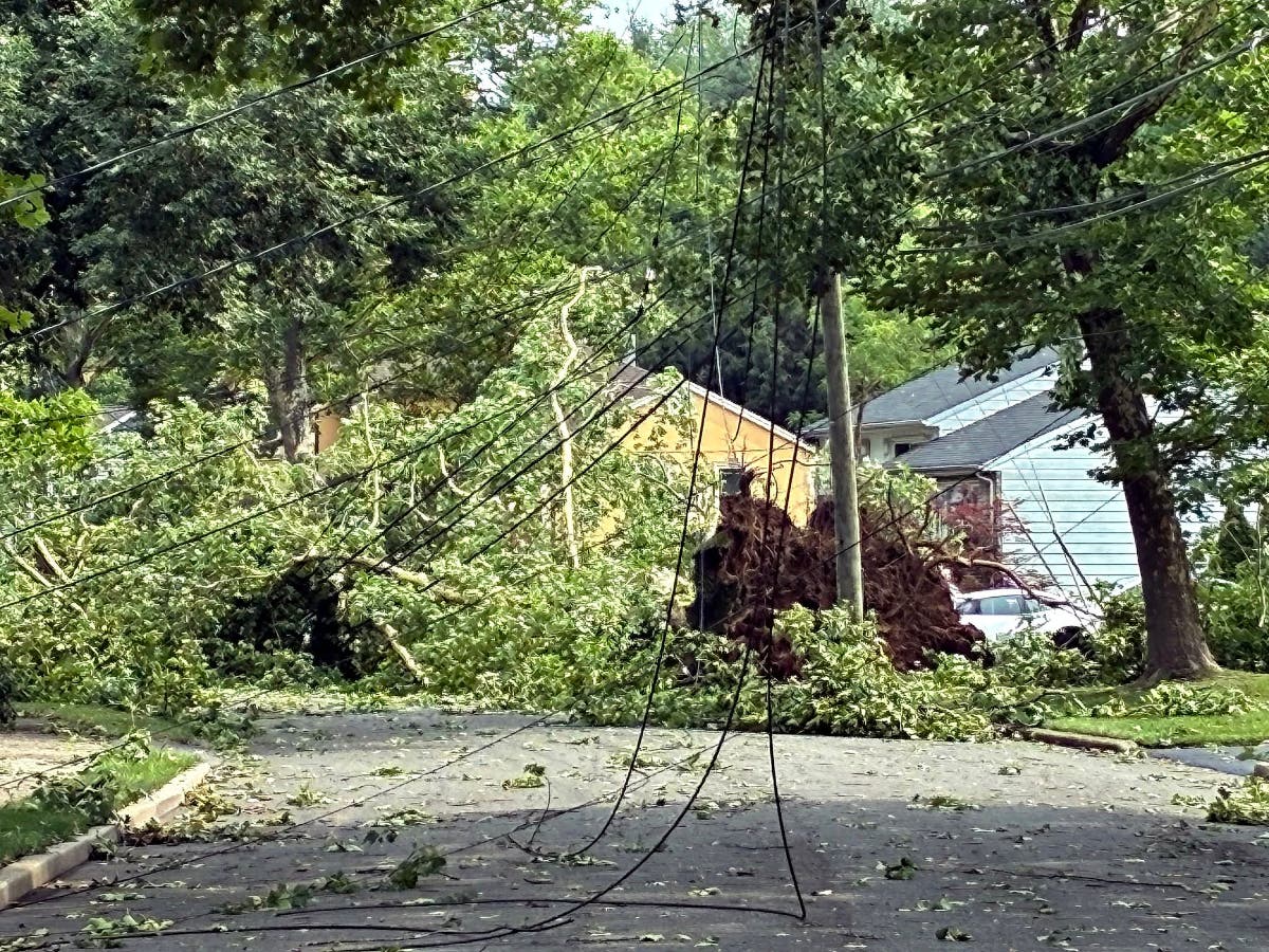 Trees fell all around Bergen County over the weekend, causing major damage. Pictured: Paramus.