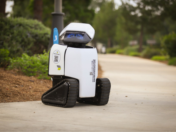 Please don't impede Dax if you see him rolling along, the city says.