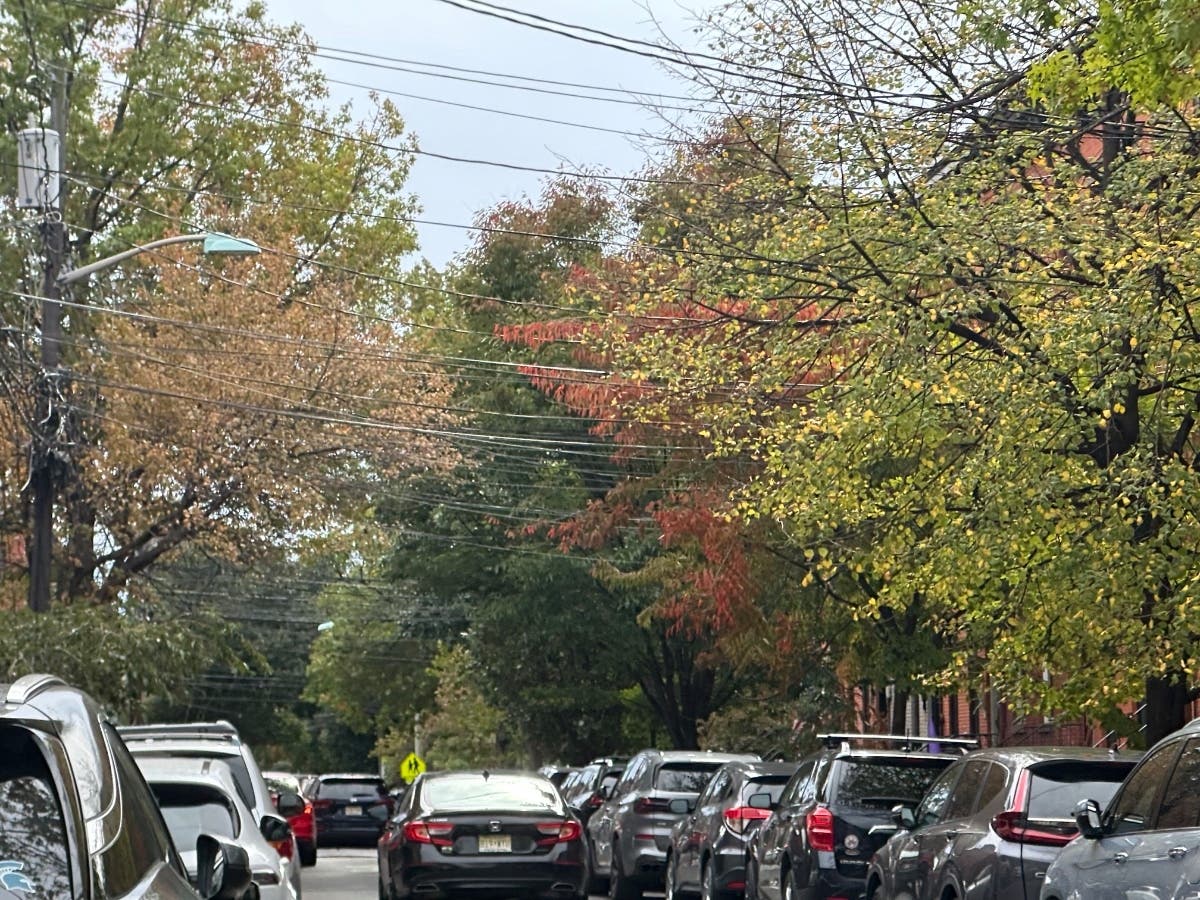 A North Jersey street on Oct. 17. Colors are just peeking through.