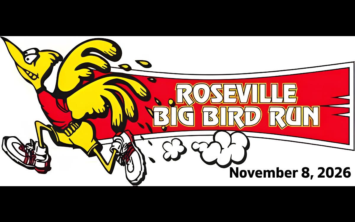48th Annual Big Bird Run