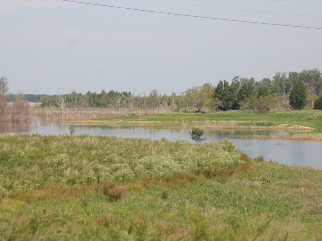 Cobbs Creek Reservoir in Cumberland County August 2026.