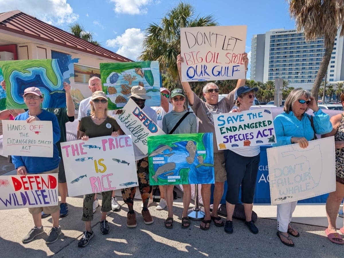 Environmental activists on Clearwater Beach on April 18, 2026. 