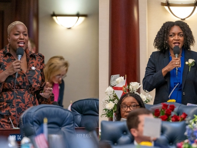 Democrats Michelle Rayner and Fentrice Driskell are running in an open primary in state Senate District 16. 