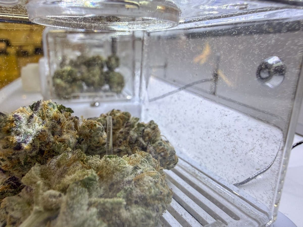 Buds of marijuana on display inside Mother Earth Wellness in Pawtucket, Rhode Island. 