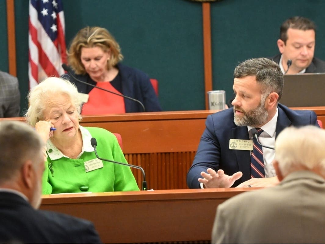 Reps. Mary Margaret Oliver and Tim Fleming speaks at a Government Affairs Committee June 23, 2026. 
