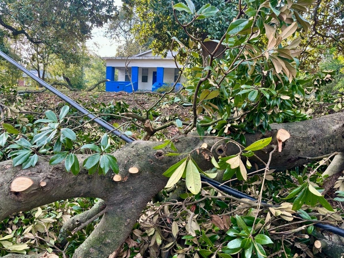 An Augusta residence avoided any serious damage from a large tree that was knocked over after Hurricane Helene made landfall in 2024. 