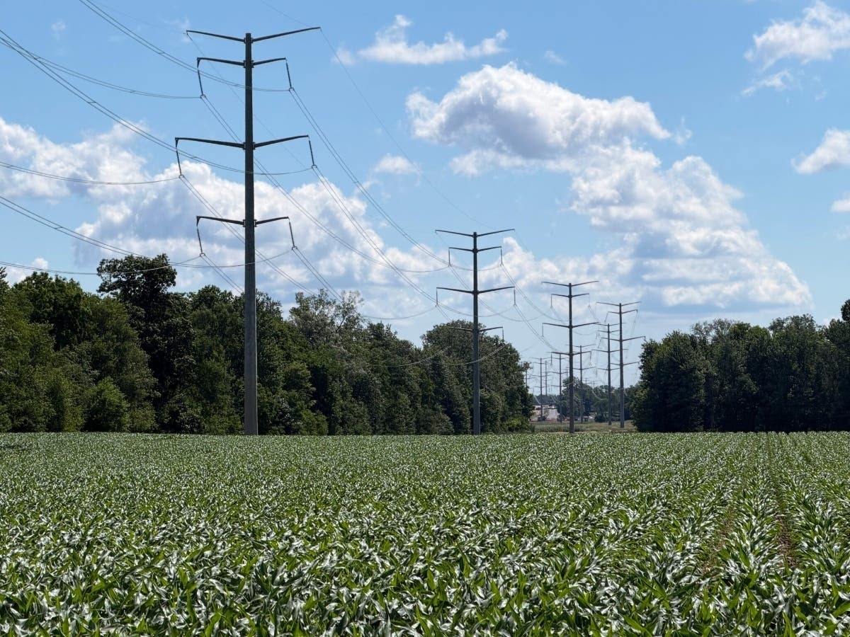 Power transmission lines in Washtenaw County’s Bridgewater Township. 