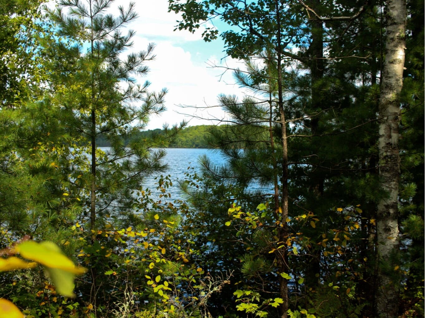 Jute Lake in Wisconsin's Northern Highland-American Legion National Forest. The children who brought the lawsuit argued they were being deprived of their constitutional right to enjoy Wisconsin's natural areas. 