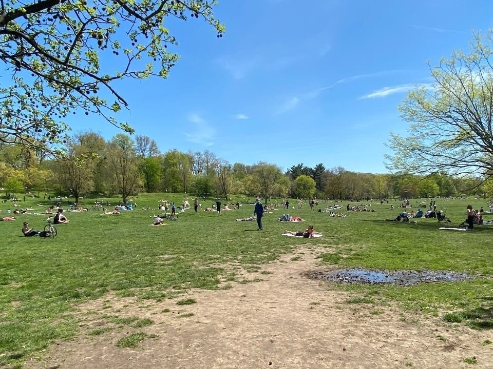 Park goers in Prospect Park, which is covered by the NYPD 78th Precinct in Park Slope, socially distance on a recent weekend.