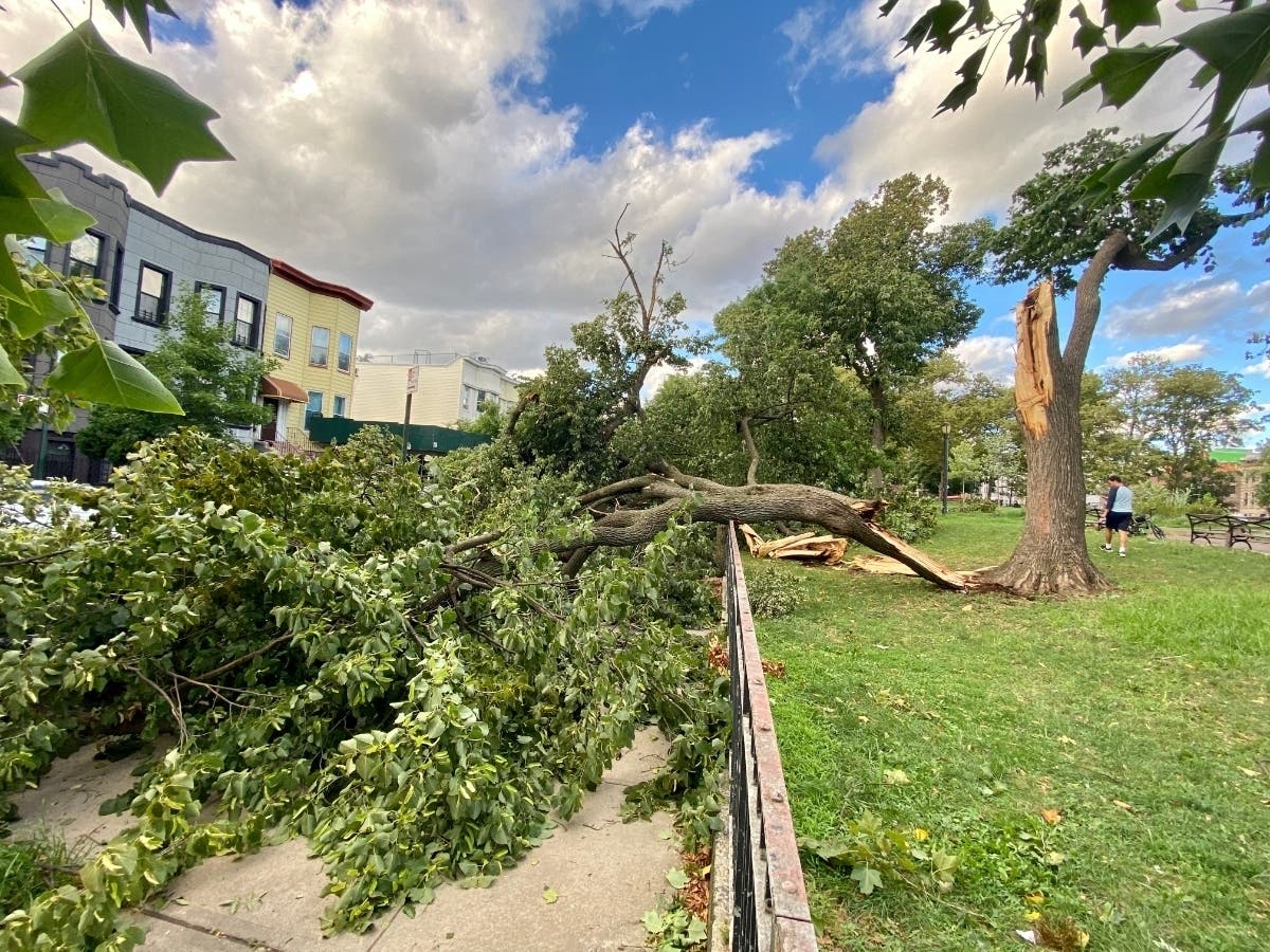 Gov. Andrew Cuomo declared a state of emergency for New York City and other counties hit by Tropical Storm Isaias.