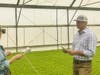 Greg Lewis, Director, Western Productions, Duda Farms - Oxnard