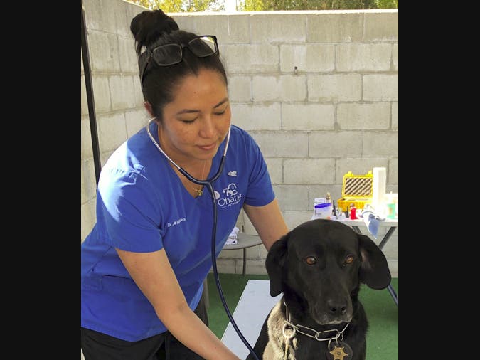 Dr. Jill Muraoka Lim