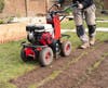 Turf removal.