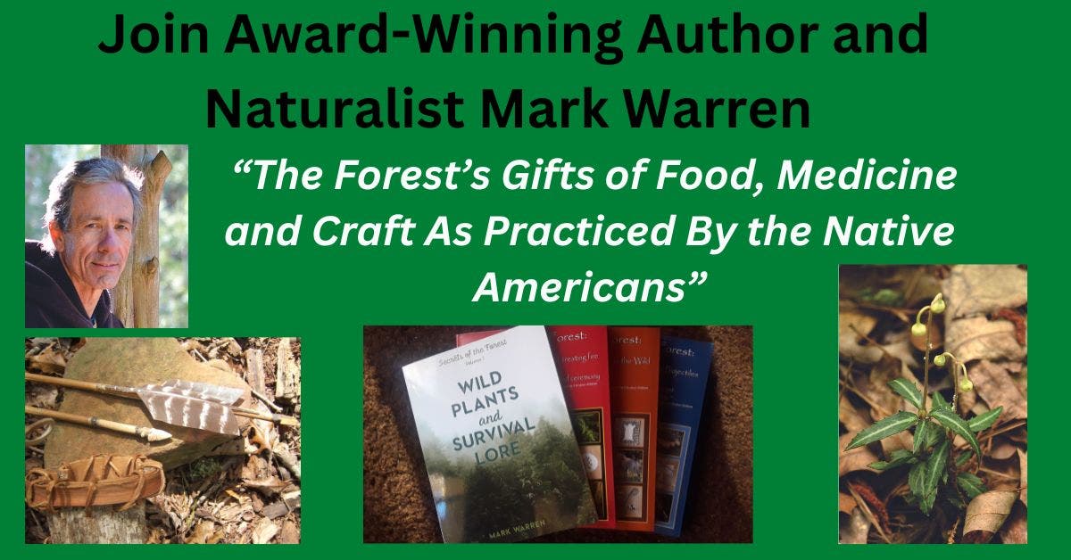 "The Forest's Gifts" by Award-Winning Author and Educator Mark Warren