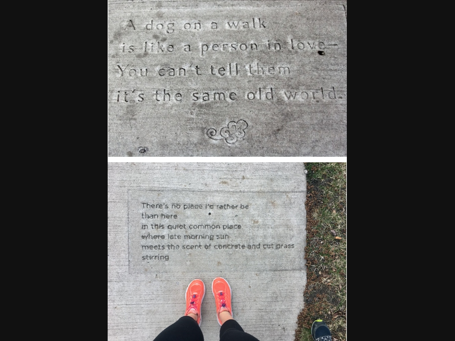 The city received more than 200 submissions from Clearwater residents and students.