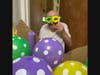 Resident Alfonso Posada is all smiles seeing the Mardi Gras decorations. 