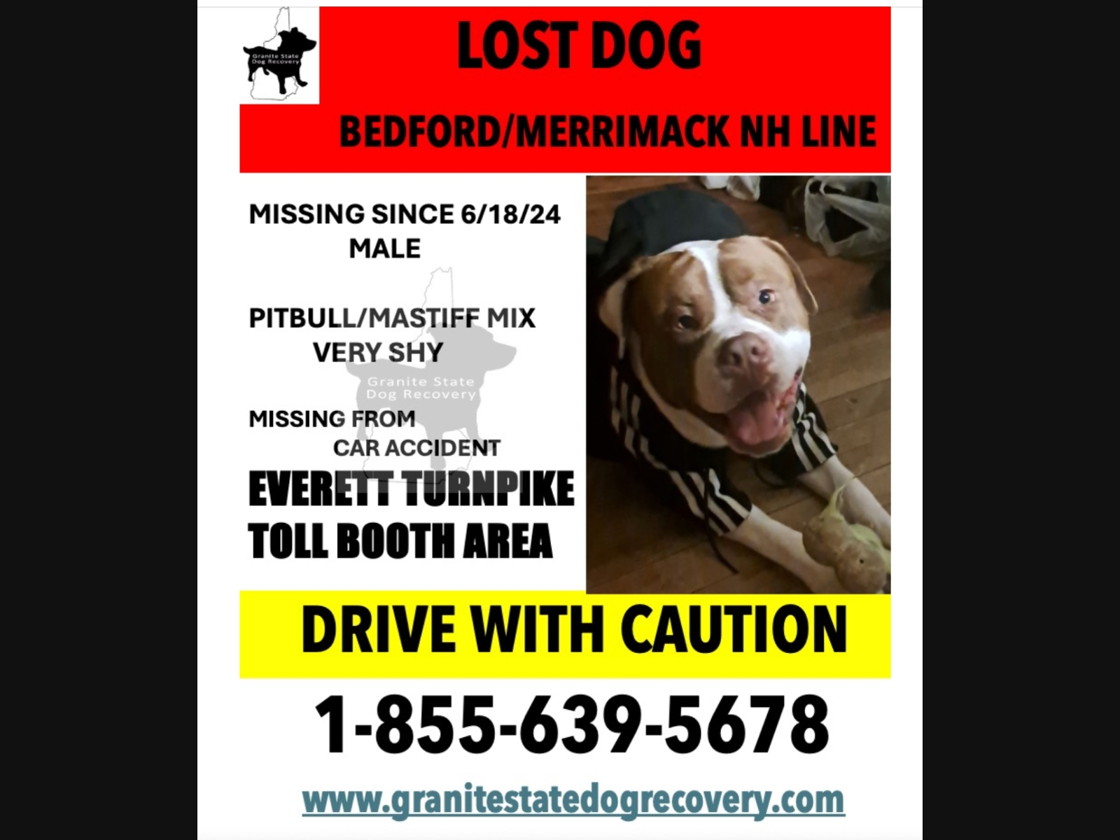 Dog Missing After Jumping From Vehicle Involved In Toll Plaza