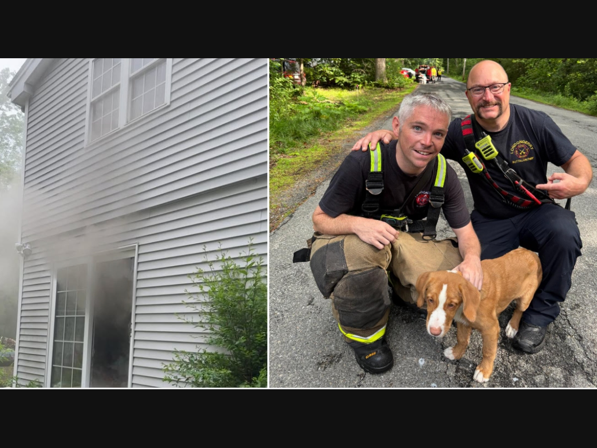 Londonderry Firefighters Rescue Two Dogs From House Fire | Londonderry ...