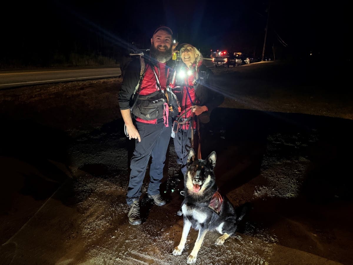 Missing 2-Year-Old Girl Found Safe By New England K-9 Search Team After ...