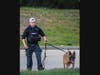 Law enforcement using drones, K9s, and multiple officers searched heavily wooded areas around Mallard Dr and Joey Rd in Merrimack.