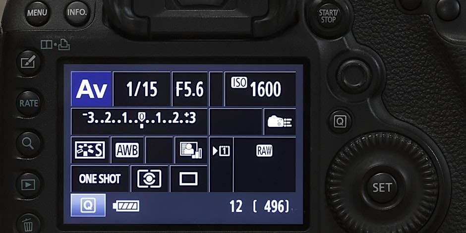 NJ Audubon: Digital Photography Blackwater NWR Weekend Field Trip