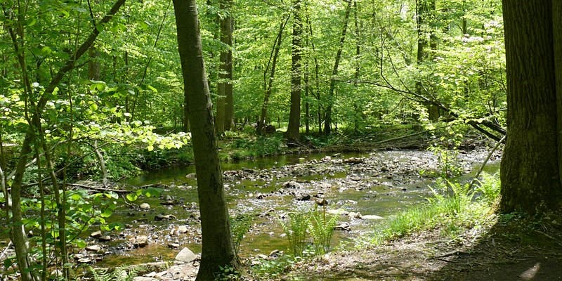 NJ Audubon: Morning Walk at Scherman Hoffman Wildlife Sanctuary- Multiple Dates