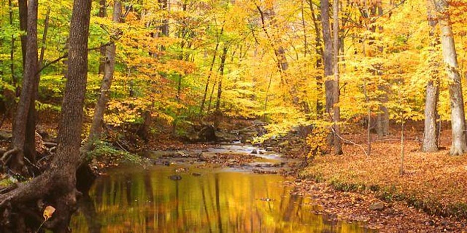 NJ Audubon: Morning Walk at Scherman Hoffman Wildlife Sanctuary- Multiple Dates