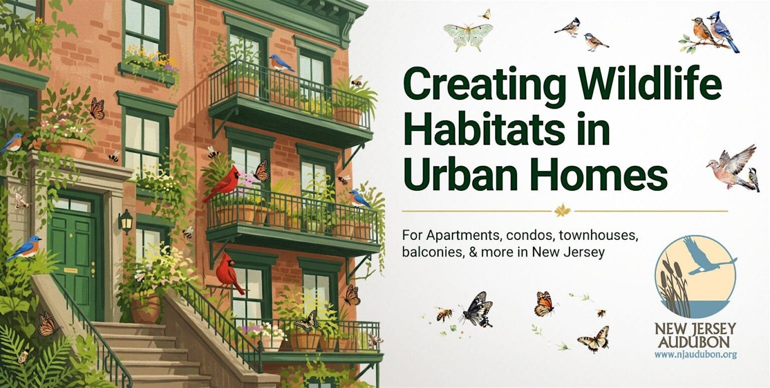 NJ Audubon: Creating Wildlife Habitats in Urban Homes