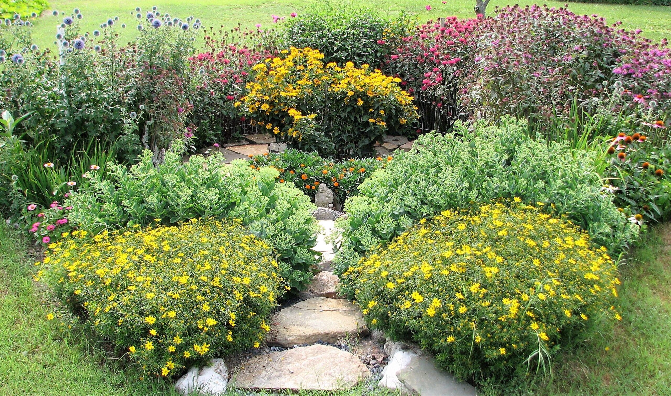 NJ Audubon Fall Native Plant Sale
