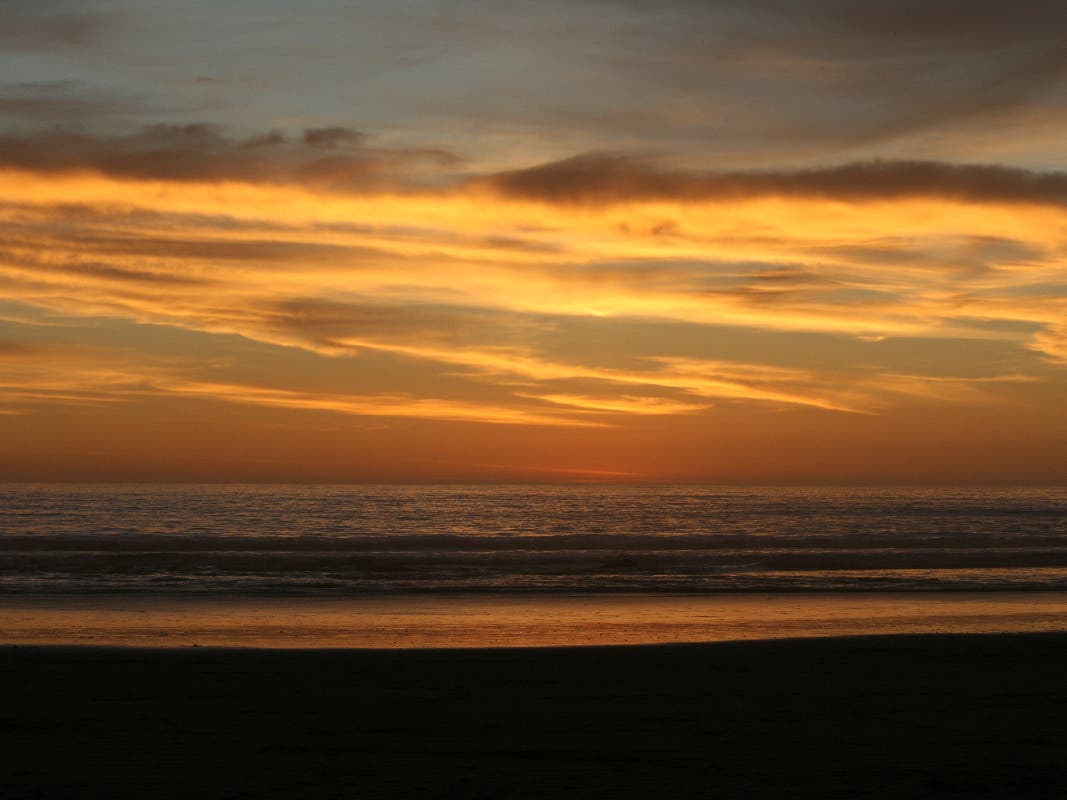 Be sure to notice the beauty around you.