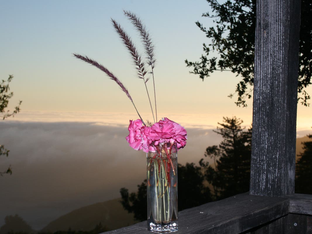 Forgiveness is necessary for the soul, as well as relationships.