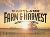 Maryland Farm & Harvest is in its 10th anniversary season. The series airs Tuesdays at 7 p.m. on MPT and online at mpt.org/farm.
