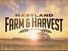 Maryland Farm & Harvest is now in its 11th season on the statewide public TV network. The MPT series airs on Tuesdays at 7 p.m. and is also available on the free PBS App.