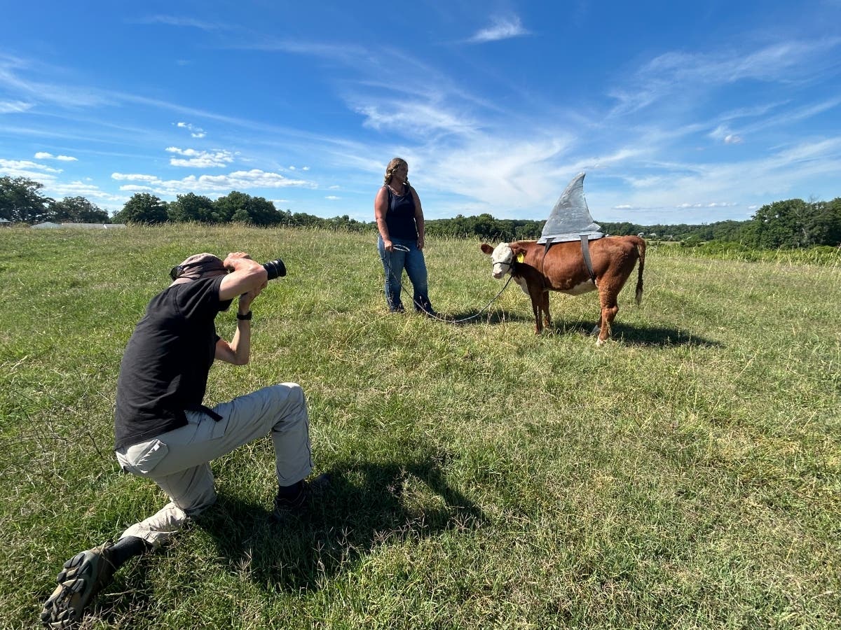 MPT series Maryland Farm & Harvest debuts 